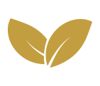 Desarrollo sostenible - Icono hojas