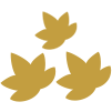Densidad de plantación - icono hojas